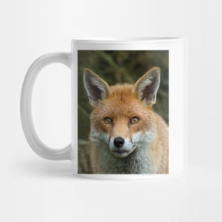 Red Fox portrait Mug